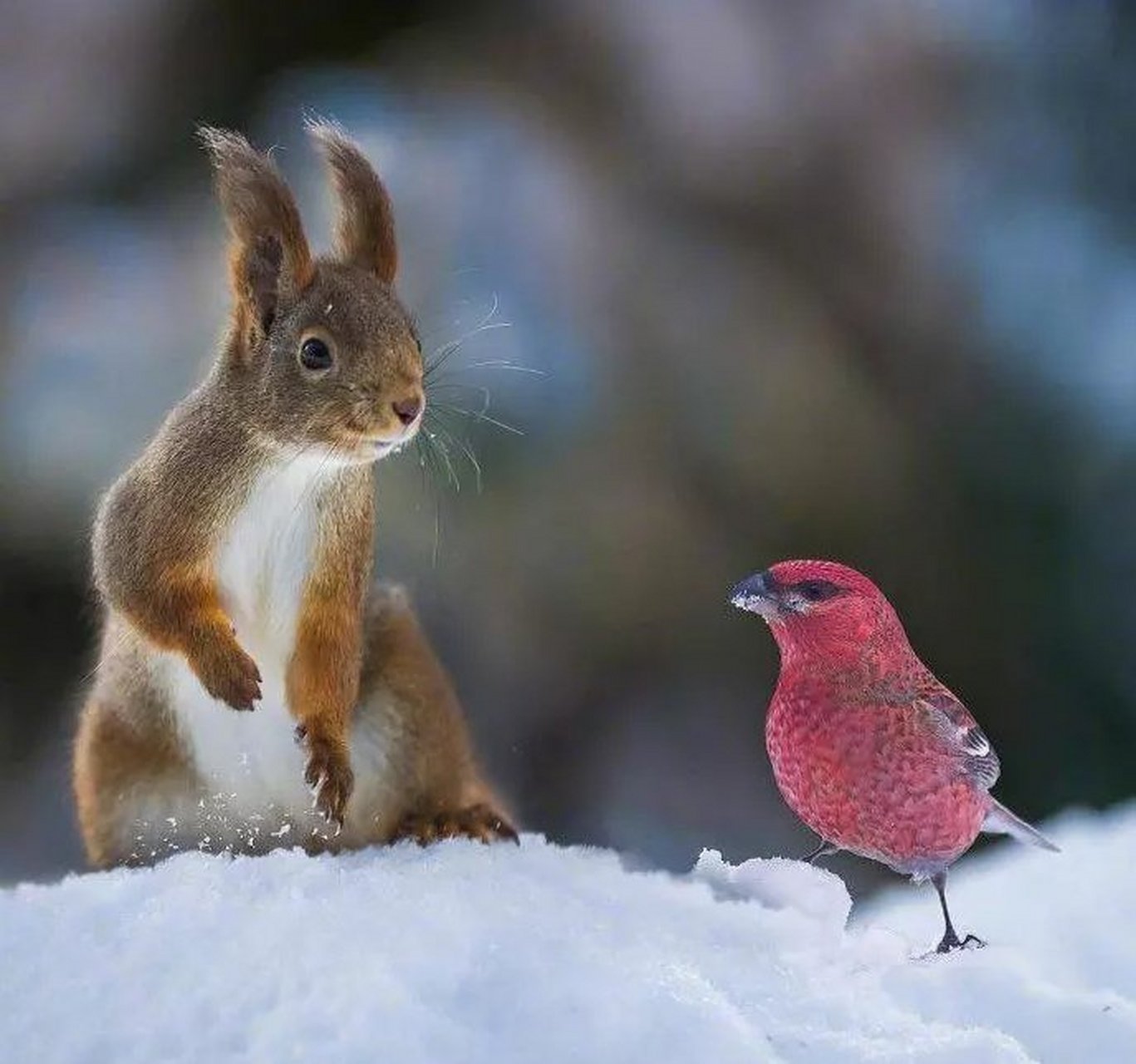 开云电竞 -关于?:??????覲做	痰$邽j耆瘉-0袦`NW>?f???嗎帏f?F山9墻C的信息